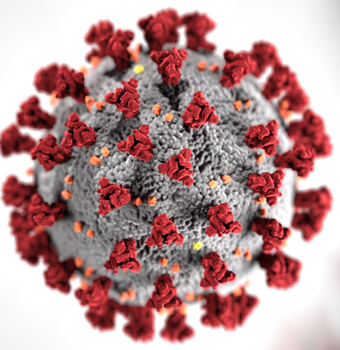 Coronavirus Reprodução